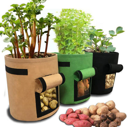 Sac de Culture Potager – Tissu Respirant avec Fenêtre de Récolte