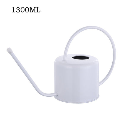 Arrosoir Vintage en Acier Inoxydable 1300ml – Long Bec Verseur