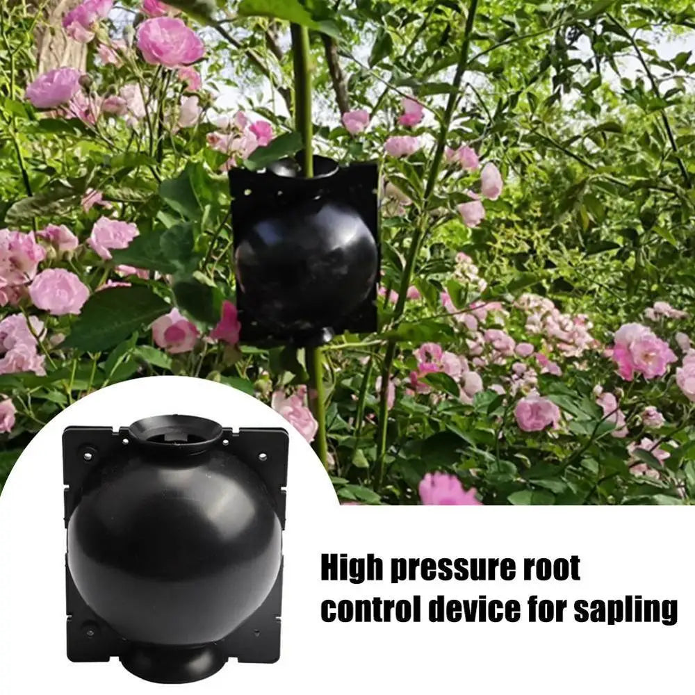 Boîtes de Marcottage Aérien PP – Lot de 5 | Ø5cm ou Ø8cm | Bouturage Facile