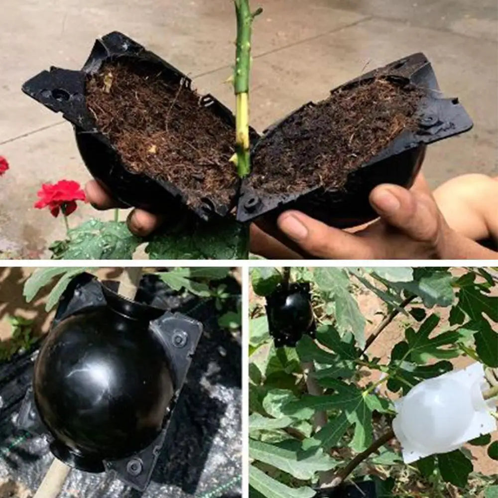 Boîtes de Marcottage Aérien PP – Lot de 5 | Ø5cm ou Ø8cm | Bouturage Facile