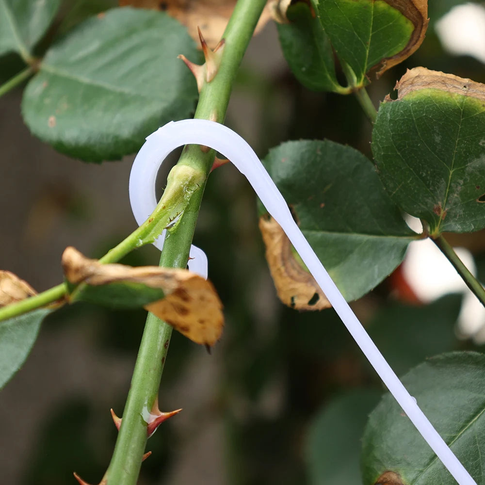 Crochets en J pour Plantes et Tomates – Attaches Réutilisables pour Treillage et Tuteurage (9,5 à 16 cm)