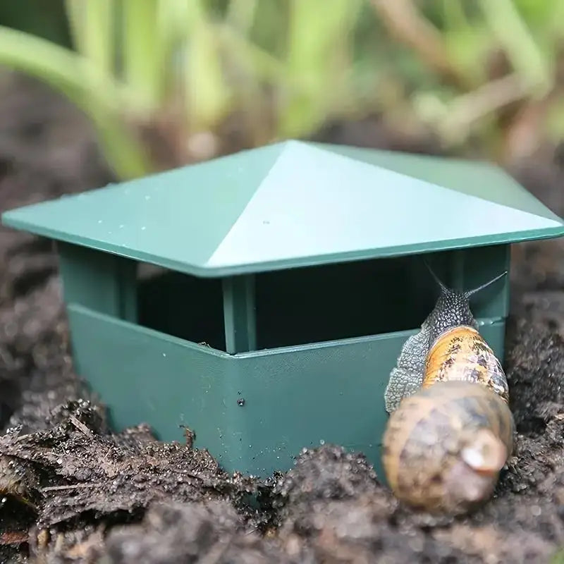 Piège à Escargots & Limaces Naturel – Cage Plastique Sans Chimie | Potager, Fleurs & Jardin
