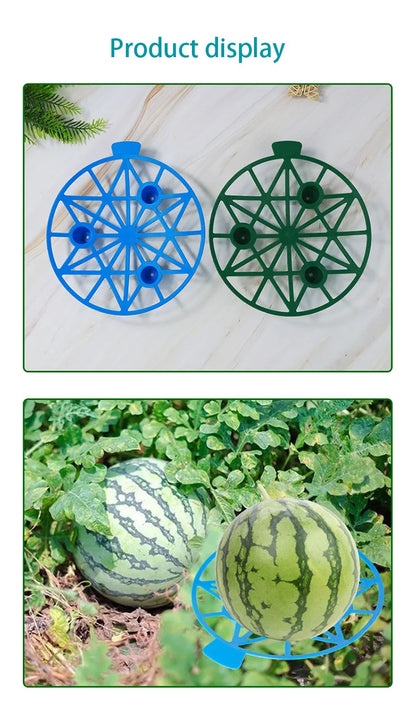 Support Fruits Jardin – Plateau Protège-Melon & Fraise (Lot de 10)
