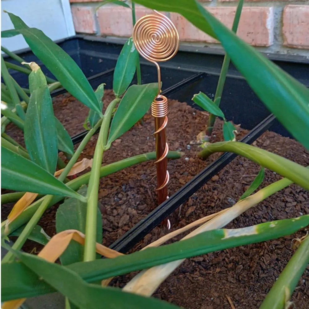 Antennes d’électroculture en cuivre pur 99,99% – Tuteurs de jardin haute performance | Éco-responsable