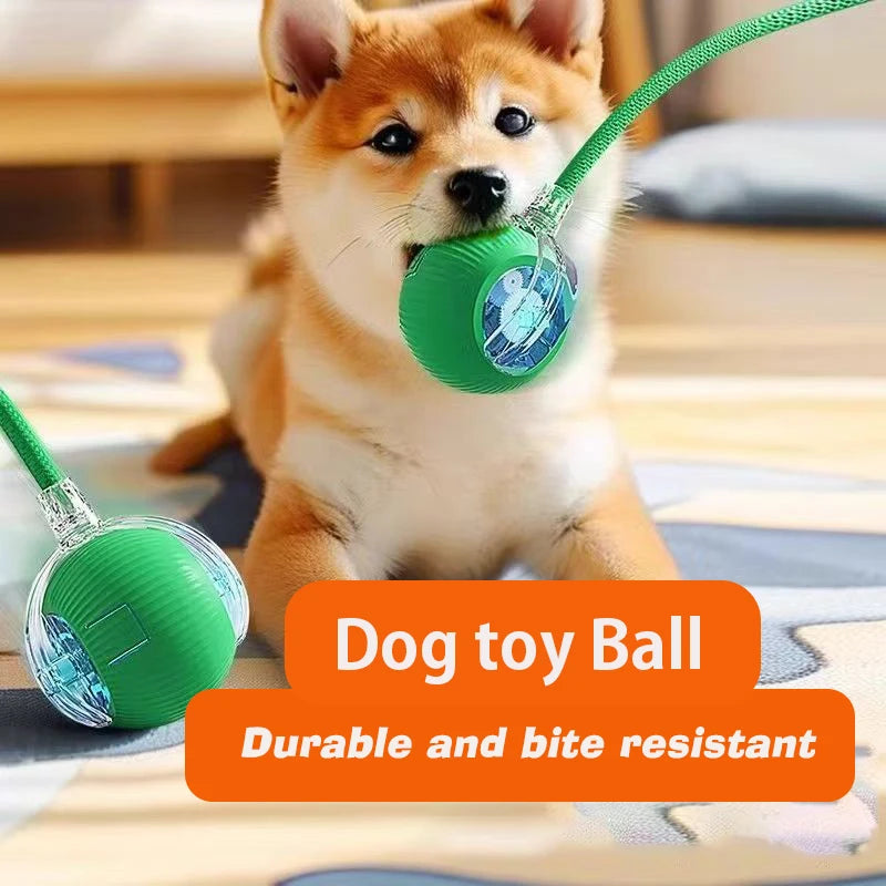 Balle Roulante Automatique pour Chien – 3 Modes, Recharge USB-C | Chiot & Chat