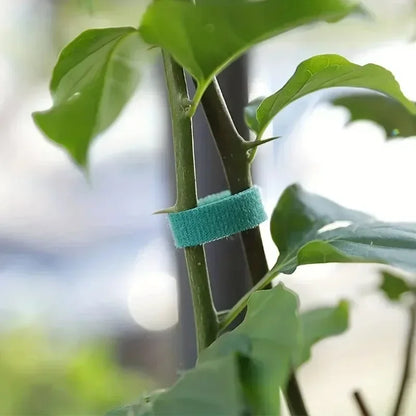 Attaches de jardin en nylon auto-agrippantes – Douces & Réutilisables | 2M à 40M, 7 couleurs
