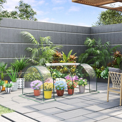 Mini Serre de Jardin Outsunny 