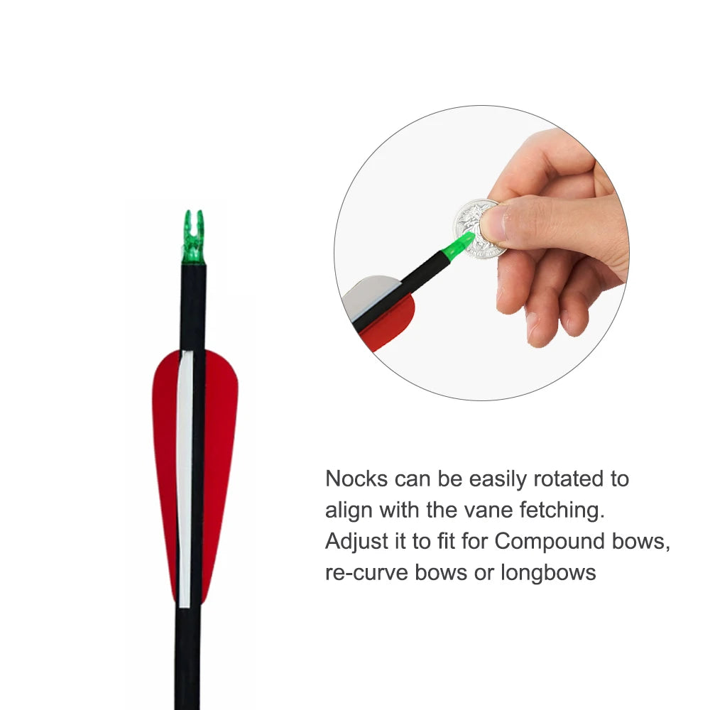 Arc Recurve Tir à l'Arc 20-50lbs Démontable avec Flèches Carbone Carquois Cible Entraînement