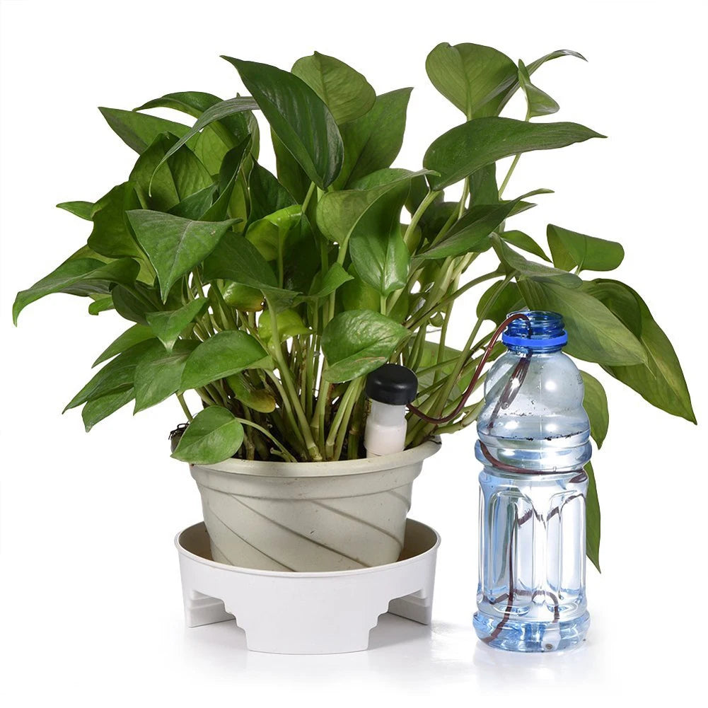 Système d'Arrosage Automatique 8pcs - Goutte-à-Goutte Plantes Intérieur Maison