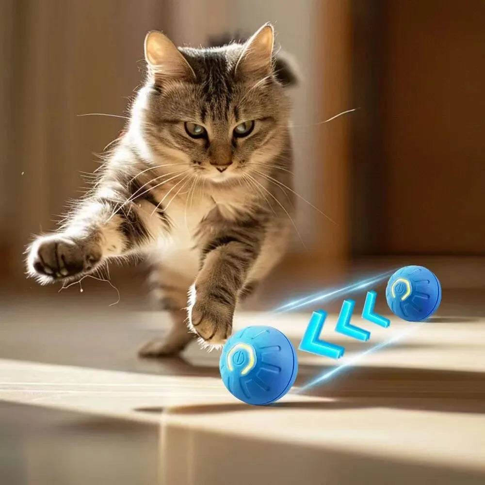 Balle Interactive Automatique pour Chien – Rechargeable USB | Jouet Chiot