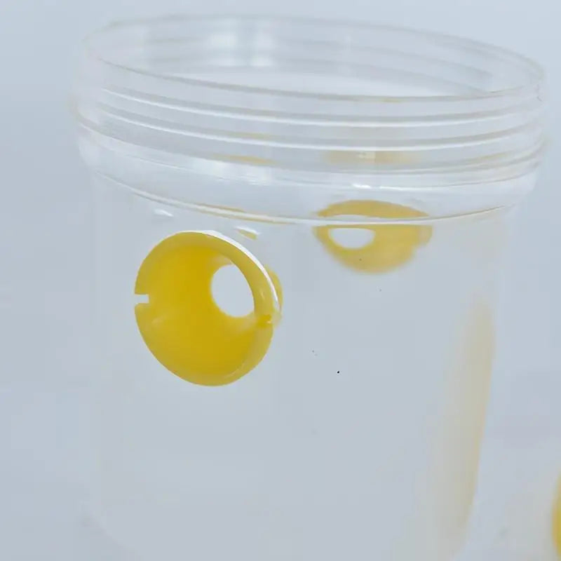 Piège à Insectes Transparent Extérieur – Mouches, Guêpes, Frelons | Avec Couvercle