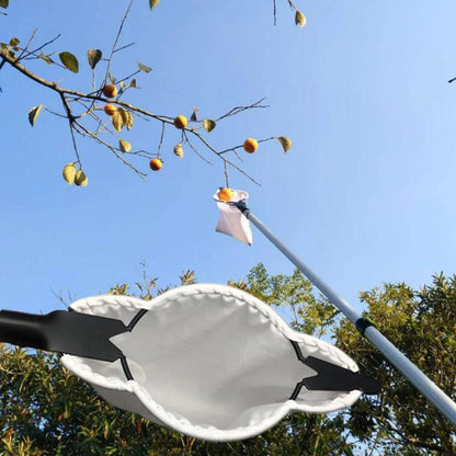 Cueilleur de Fruits à Lames en Acier – Panier Récolteur pour Arbre Fruitier