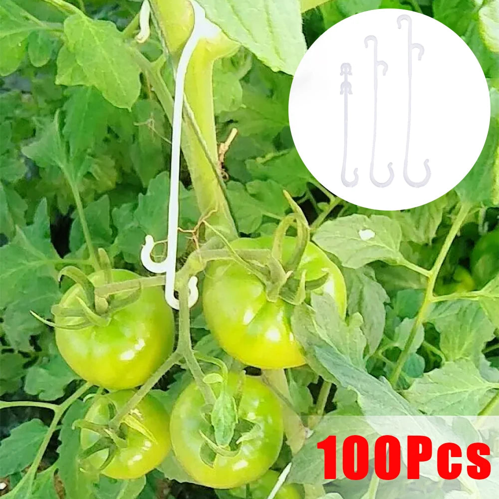 Crochets en J pour Plantes et Tomates – Attaches Réutilisables pour Treillage et Tuteurage (9,5 à 16 cm)