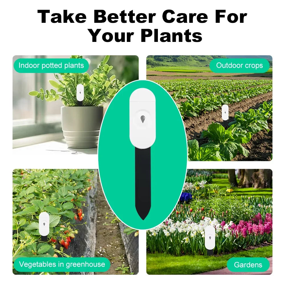 Capteur d'Humidité du Sol ZigBee Tuya – Température & Humidité | Jardin Connecté