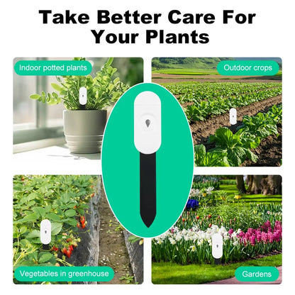 Capteur d'Humidité du Sol ZigBee Tuya – Température & Humidité | Jardin Connecté