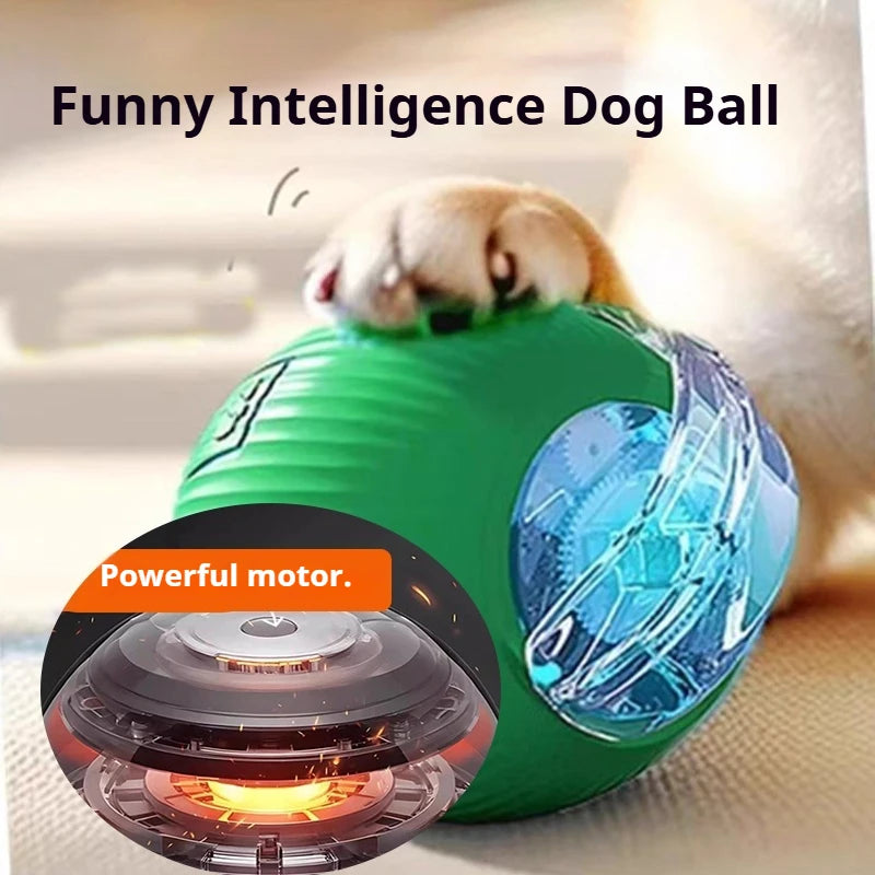 Balle Roulante Automatique pour Chien – 3 Modes, Recharge USB-C | Chiot & Chat