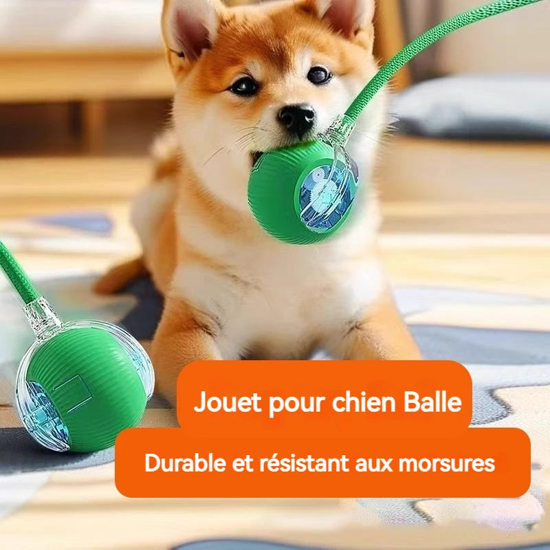 Balle Roulante Automatique pour Chien – 3 Modes, Recharge USB-C | Chiot & Chat