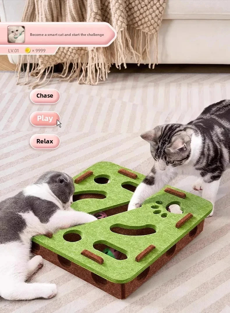 Jouet Puzzle pour Chat en Feutre - Boîte d'Exercice avec Balle Chasse Intérieur