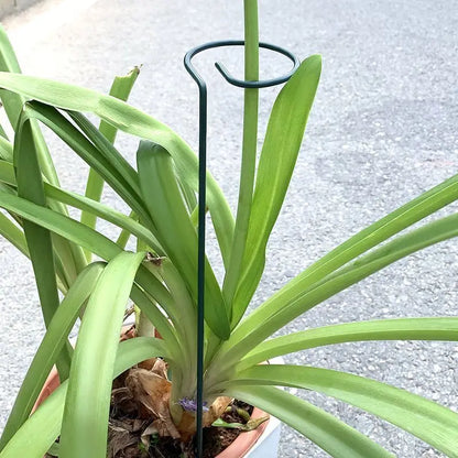 Tuteur Anneau Support Tige Plante Métal – 35 / 45 / 55 cm | Lot de 1, 3 ou 5
