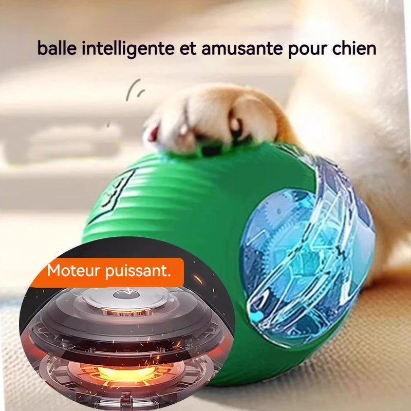 Balle Roulante Automatique pour Chien – 3 Modes, Recharge USB-C | Chiot & Chat