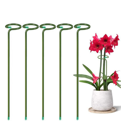 Tuteur Anneau Support Tige Plante Métal – 35 / 45 / 55 cm | Lot de 1, 3 ou 5