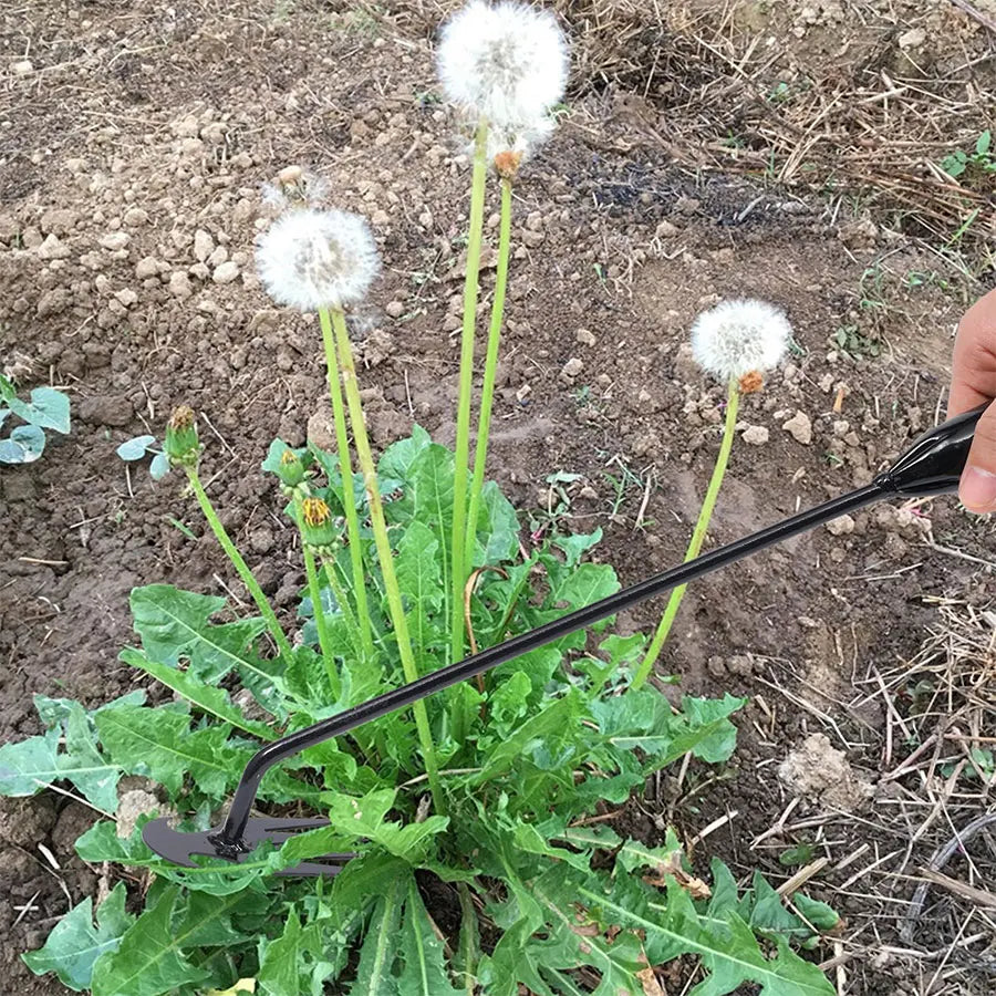 Binette Désherbeuse en Acier Carbone – Manche 30, 40 ou 50cm, Outil de Jardinage Manuel