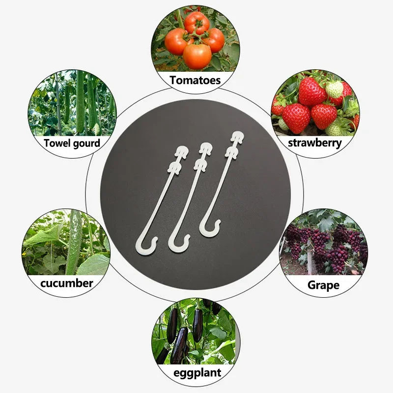 Crochets en J pour Plantes et Tomates – Attaches Réutilisables pour Treillage et Tuteurage (9,5 à 16 cm)