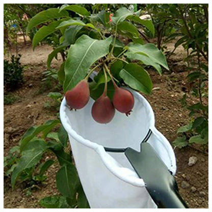 Cueilleur de Fruits à Lames en Acier – Panier Récolteur pour Arbre Fruitier