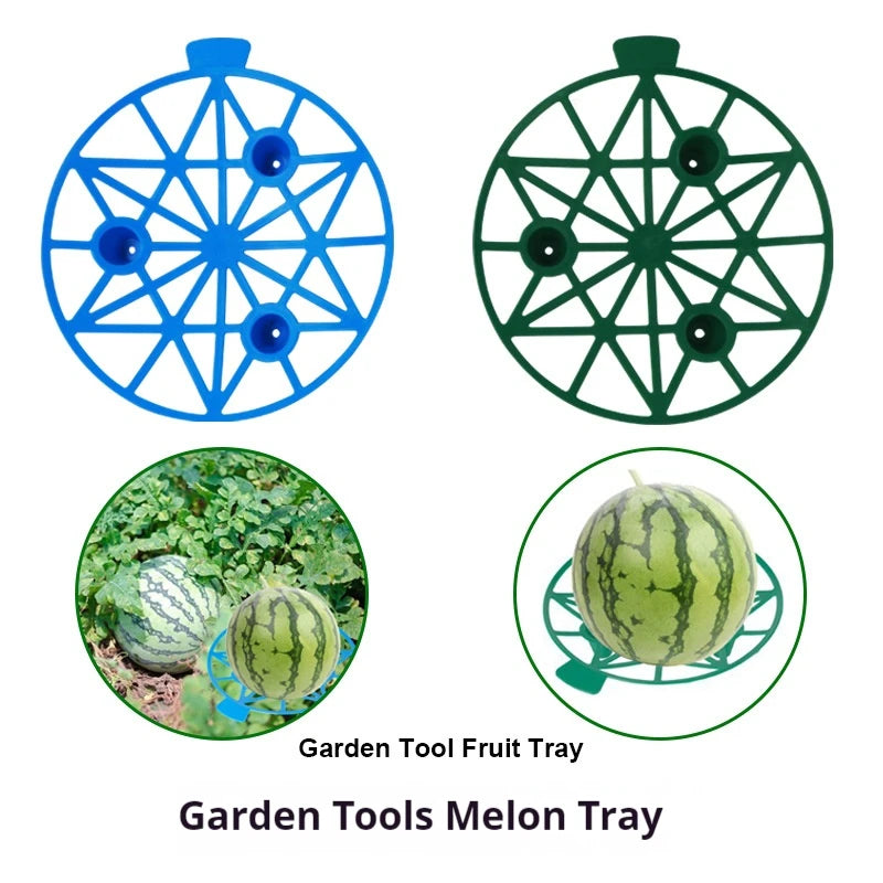 Support Fruits Jardin – Plateau Protège-Melon & Fraise (Lot de 10)