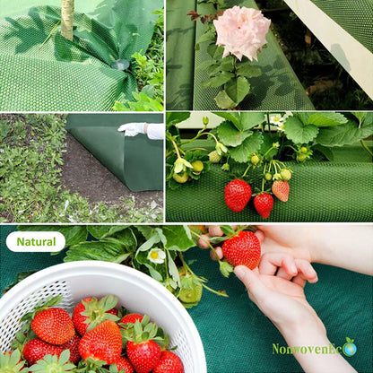 Toile Anti-Mauvaises Herbes Perforée 0,6M – Avec 10 Agrafes | Jardin, Potager, Verger