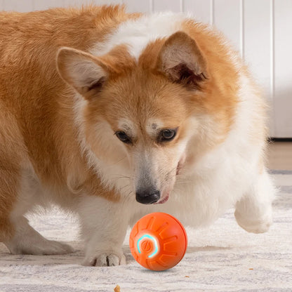 Balle Interactive Automatique pour Chien – Rechargeable USB | Jouet Chiot