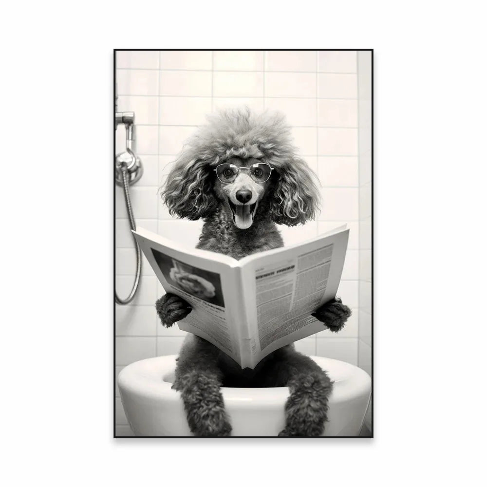 Affiche Humour Alpaga aux Toilettes 