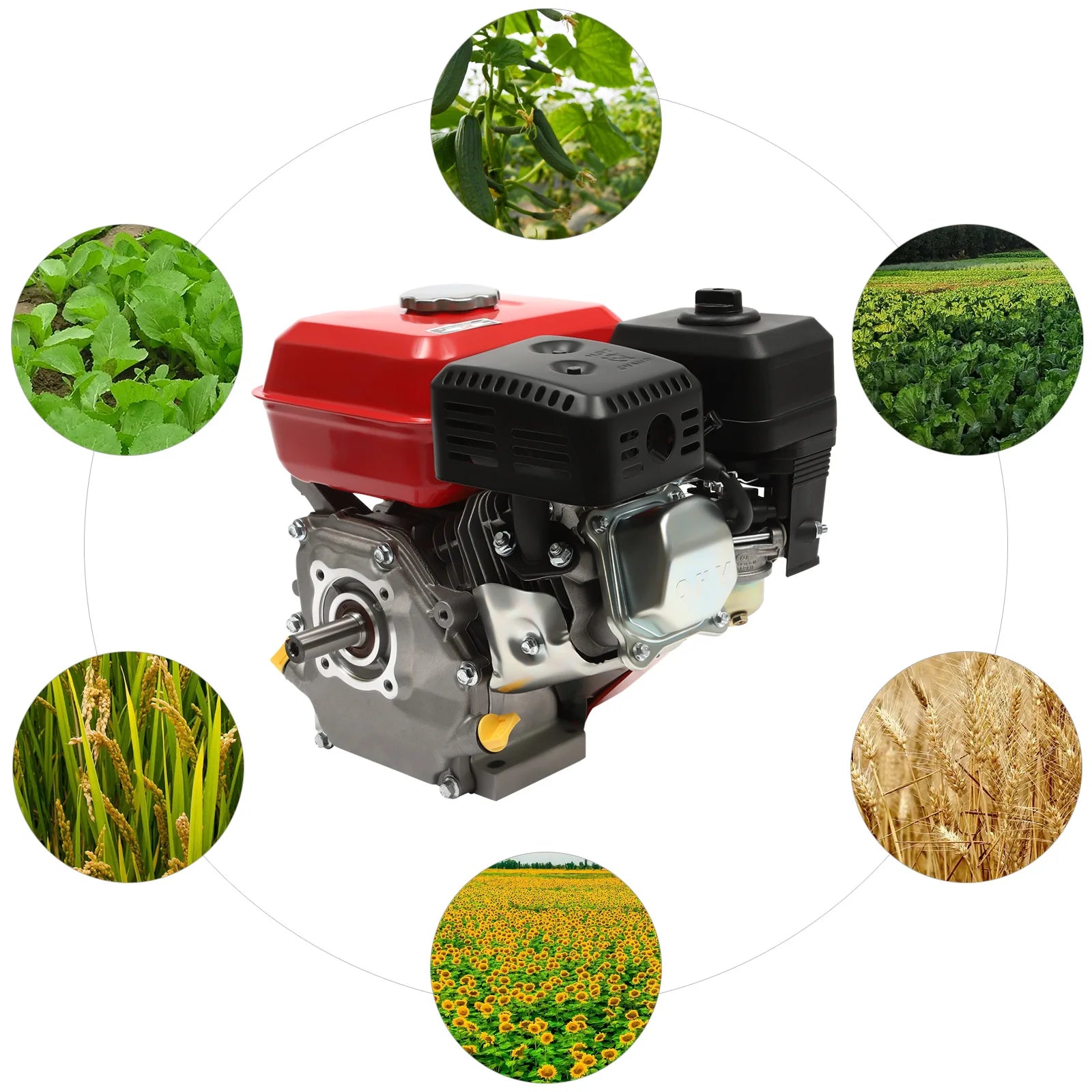 Moteur Essence 4-Temps 212cc 7.5HP - 4000W 3600 RPM - Refroidissement Air