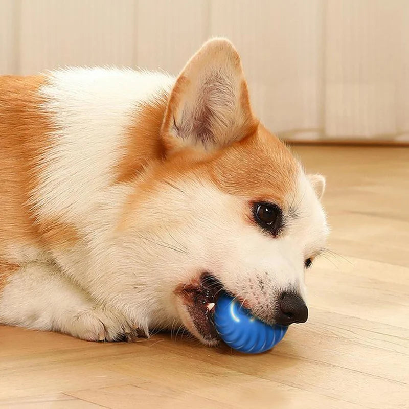 Balle Interactive Automatique pour Chien – Rechargeable USB | Jouet Chiot