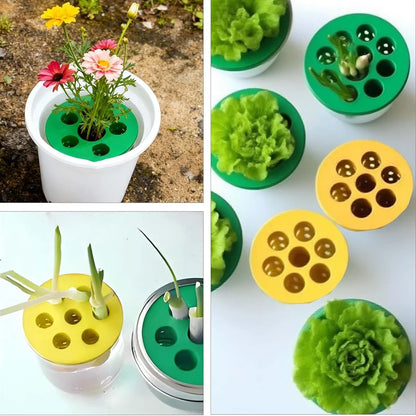 Plateau de Semis Hydroponique 7 Trous – Pot Nursery PLA, Ail, Oignons, Fleurs