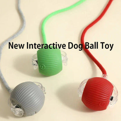 Balle Roulante Automatique pour Chien – 3 Modes, Recharge USB-C | Chiot & Chat