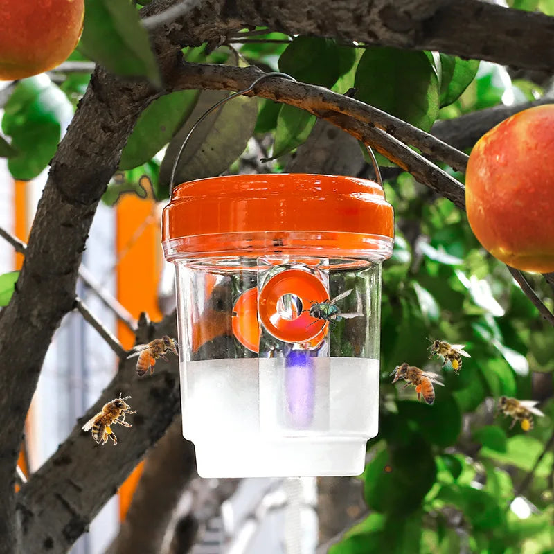 Piège à Insectes Transparent Extérieur – Mouches, Guêpes, Frelons | Avec Couvercle
