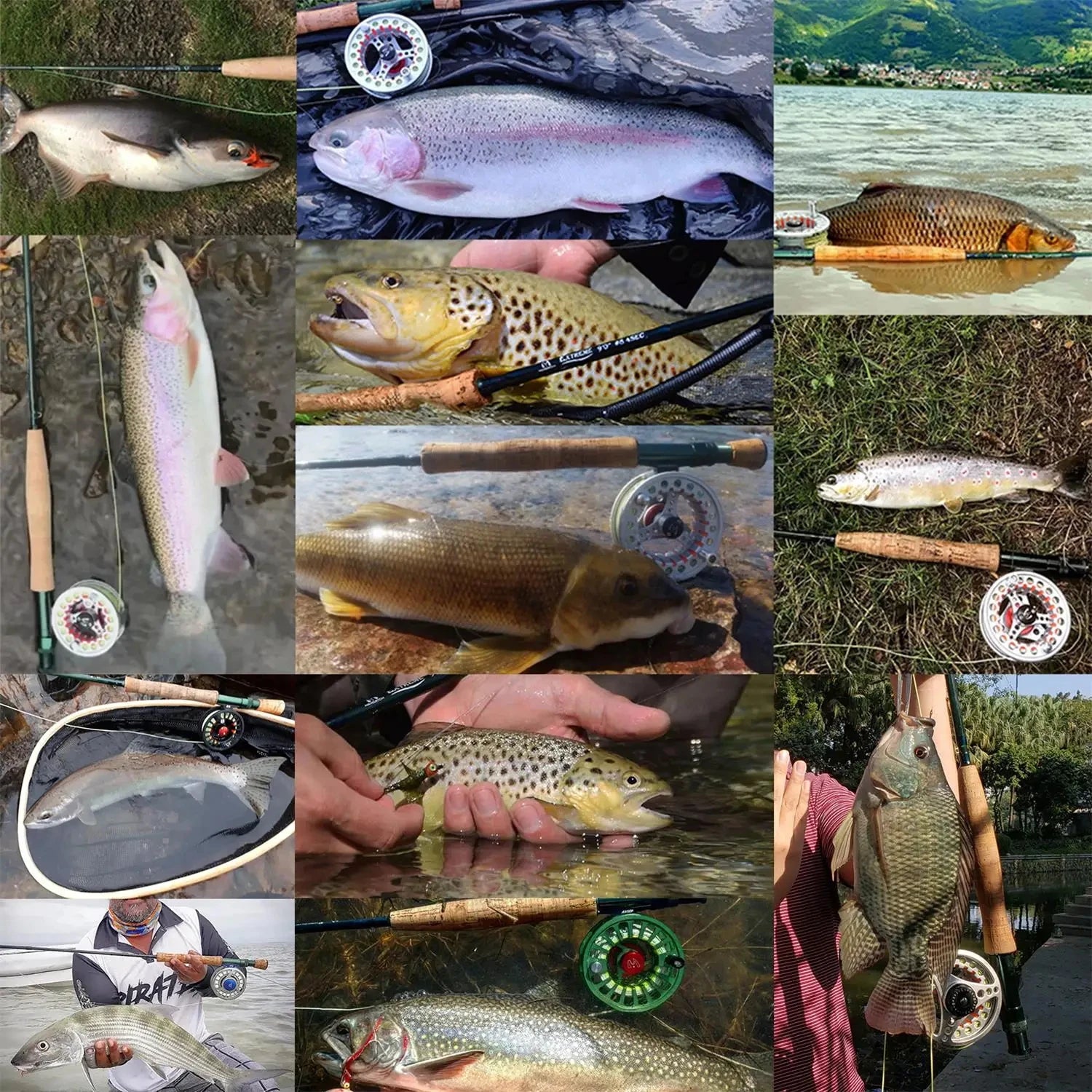 Canne à Mouche Maximumcatch 3-8WT Combo Set 8'6"-9' Medium-Fast Moulinet Soie Triangle Tube