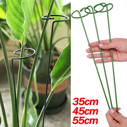 Tuteur Anneau Support Tige Plante Métal – 35 / 45 / 55 cm | Lot de 1, 3 ou 5