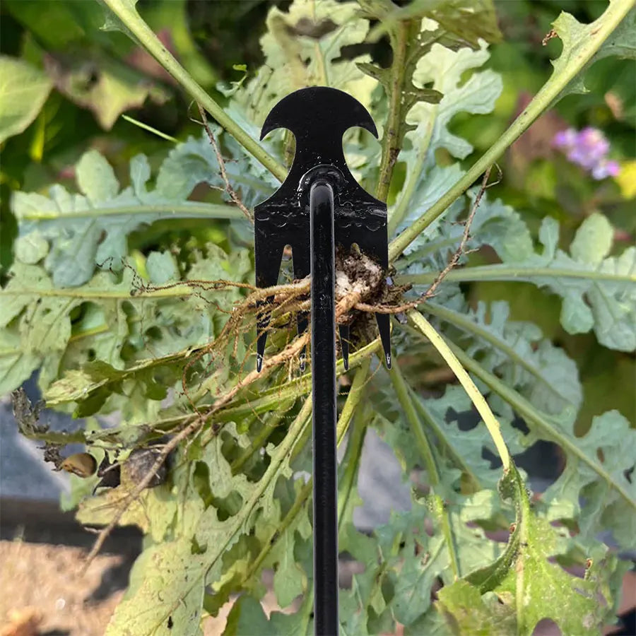 Binette Désherbeuse en Acier Carbone – Manche 30, 40 ou 50cm, Outil de Jardinage Manuel