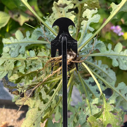 Binette Désherbeuse en Acier Carbone – Manche 30, 40 ou 50cm, Outil de Jardinage Manuel