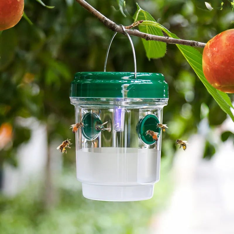 Piège à Insectes Transparent Extérieur – Mouches, Guêpes, Frelons | Avec Couvercle