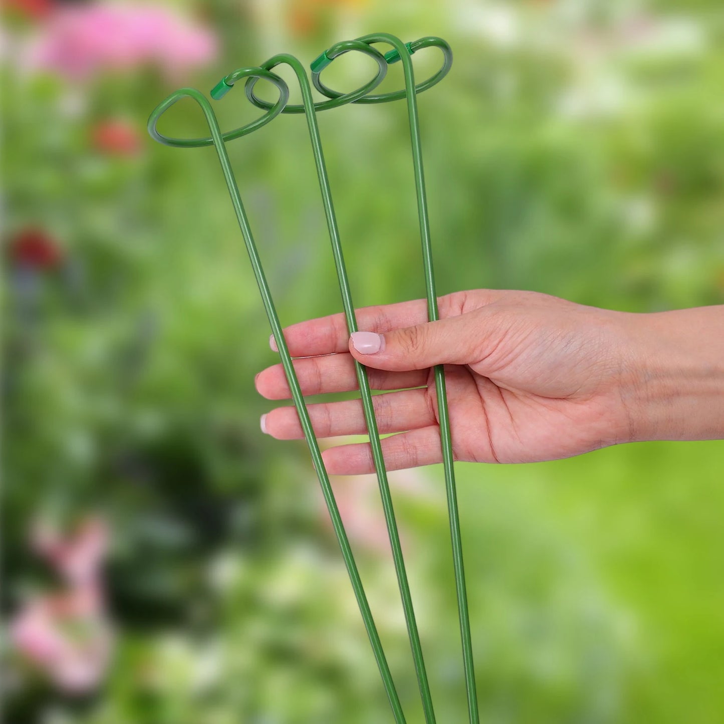 Tuteur Anneau Support Tige Plante Métal – 35 / 45 / 55 cm | Lot de 1, 3 ou 5