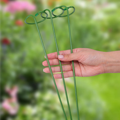 Tuteur Anneau Support Tige Plante Métal – 35 / 45 / 55 cm | Lot de 1, 3 ou 5
