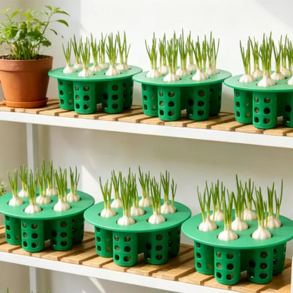 Plateau de Semis Hydroponique 7 Trous – Pot Nursery PLA, Ail, Oignons, Fleurs