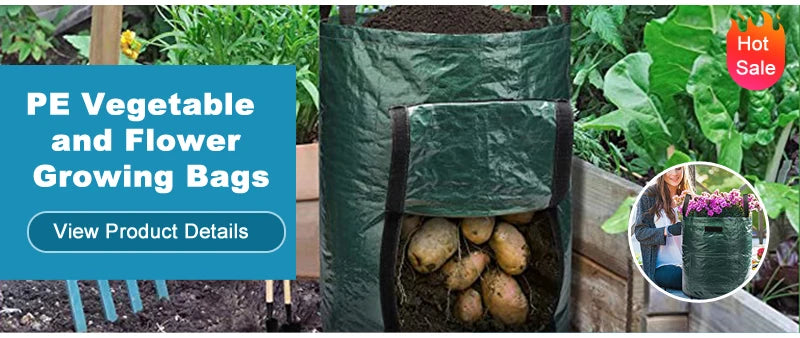 Binette Désherbeuse en Acier Carbone – Manche 30, 40 ou 50cm, Outil de Jardinage Manuel