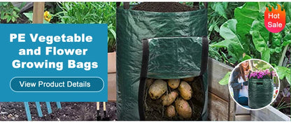 Binette Désherbeuse en Acier Carbone – Manche 30, 40 ou 50cm, Outil de Jardinage Manuel