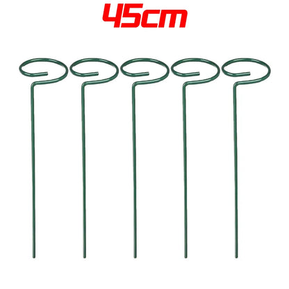 Tuteur Anneau Support Tige Plante Métal – 35 / 45 / 55 cm | Lot de 1, 3 ou 5