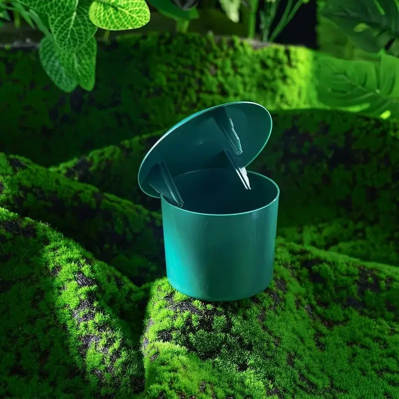 Piège à Escargots & Limaces Naturel – Cage Plastique Sans Chimie | Potager, Fleurs & Jardin