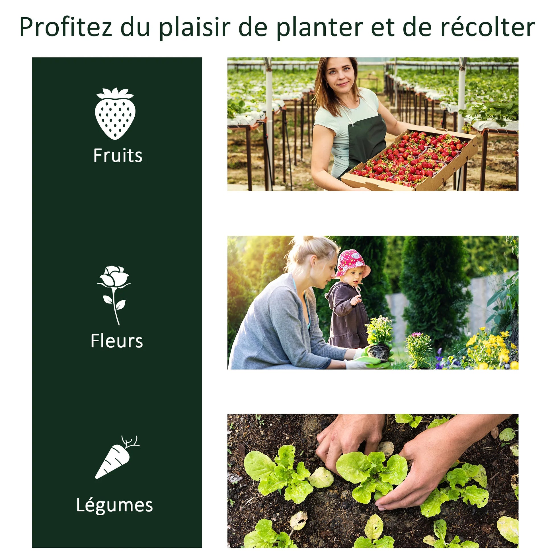 Mini Serre de Jardin Outsunny 
